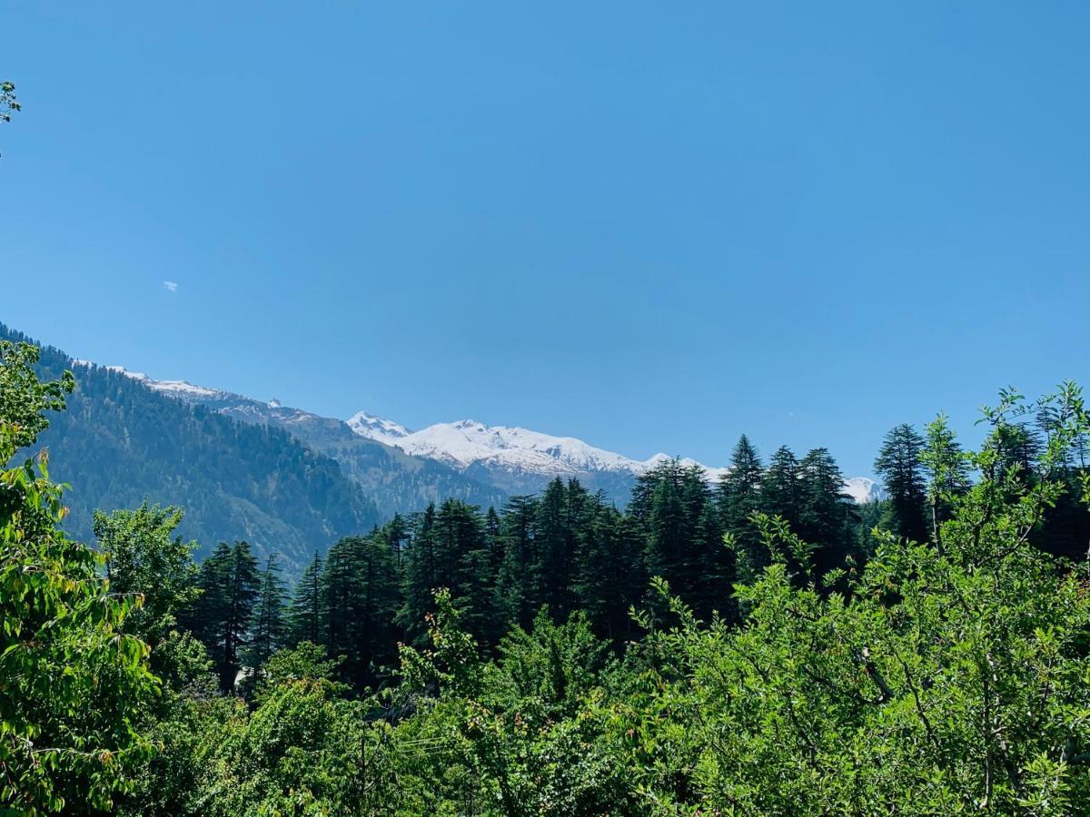 Jungle By Sturmfrei Manali Hostel Bagian luar foto